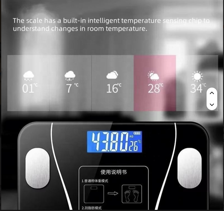 VITA•FORCE - Scale Performance &amp; Athletic Focus